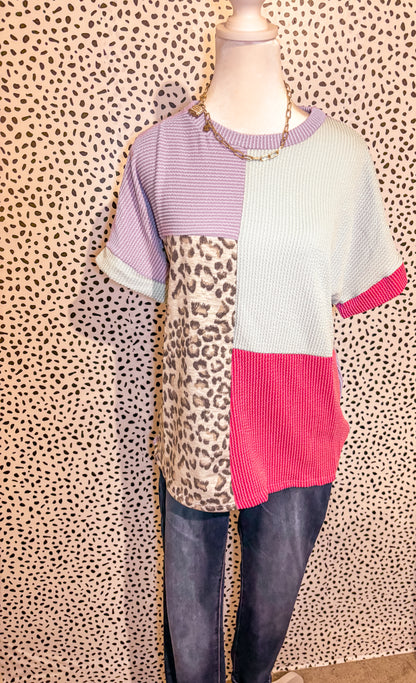 Animal Print Color block Ribbed Top