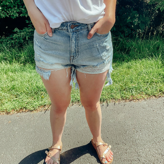 High Waisted Denim Shorts